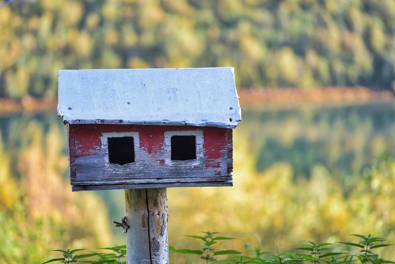 DIY Bird Feeders