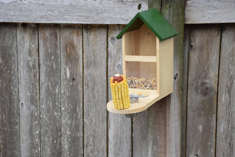 Bird Feeder from Recycled Materials